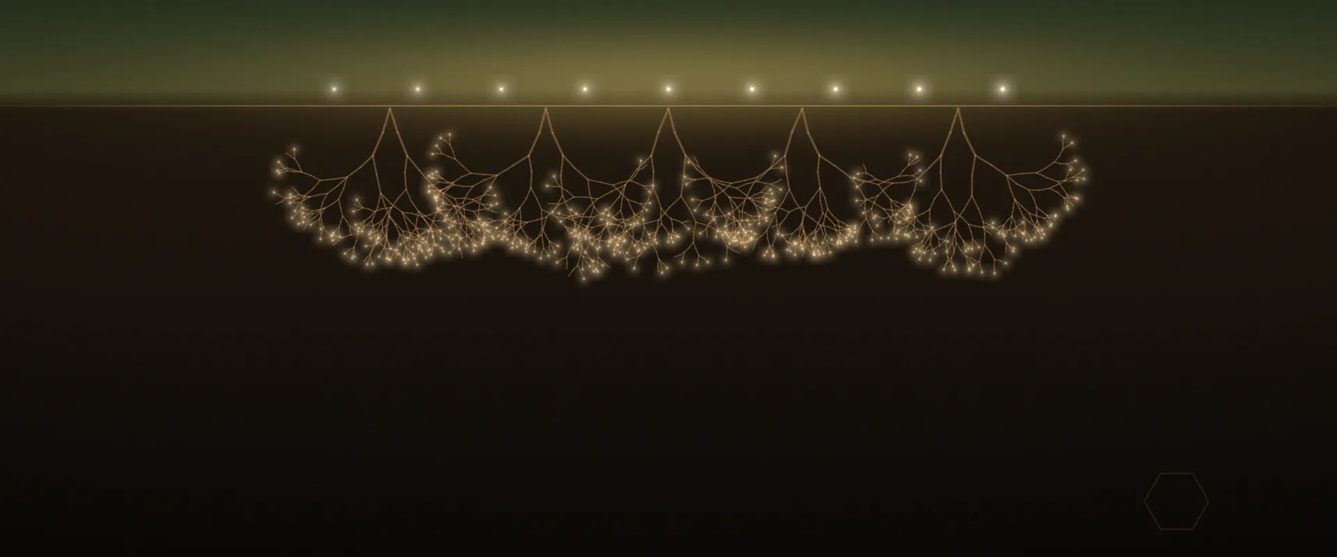 Fine golden root lines branching down into dark brown earth from a softly lit surface, with a row of small warm lights along the top.