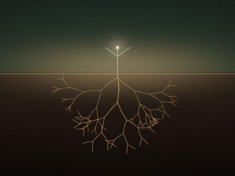A small sprout above a ground line, a strong taproot and side roots spreading into dark earth below.